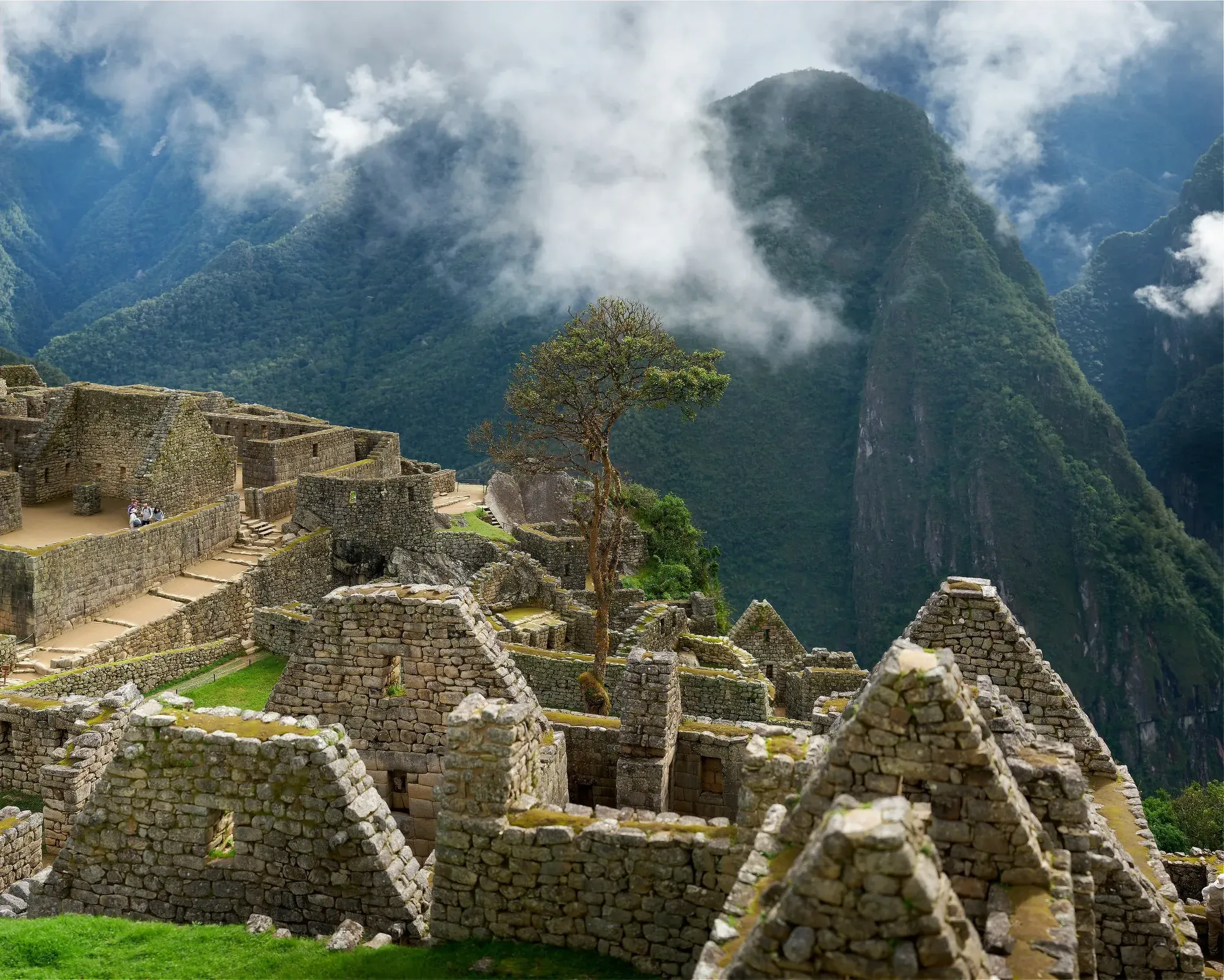 Machu picchu clouds tree