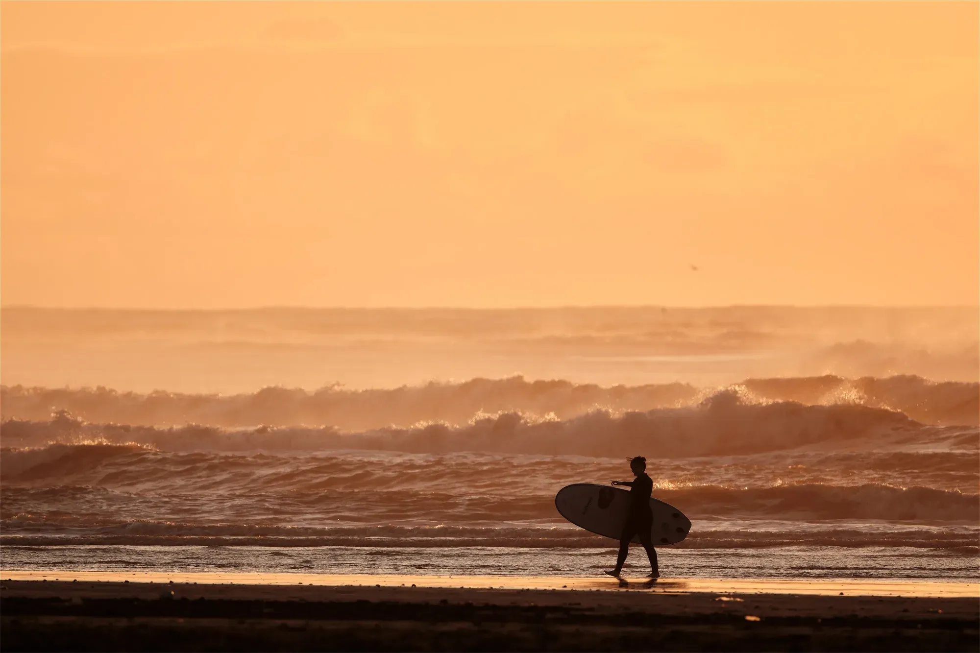 Surfer sunset beach